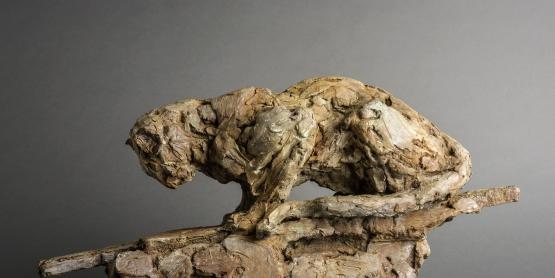 Panthère sur le rocher - 2016 - bronze - 33 x 63 x 20 cm