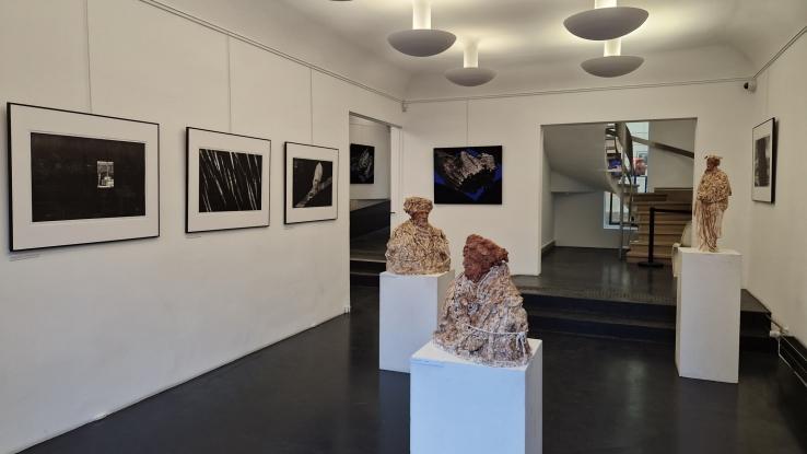 Exposition Octobre 2026 - Alloy / Dzhurayeva / Dufour