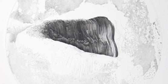 Catherine Gillet - La nature des choses II - Burin