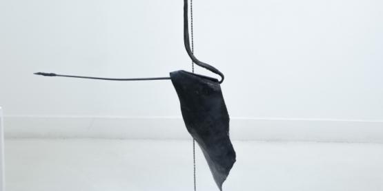 Spine, 2023, acier forgé, chaîne de plomb, 140 x 60 x 9 cm