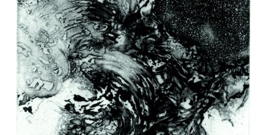 La souche - pointe sèche et aquatinte, 20x13,3cm, 2024