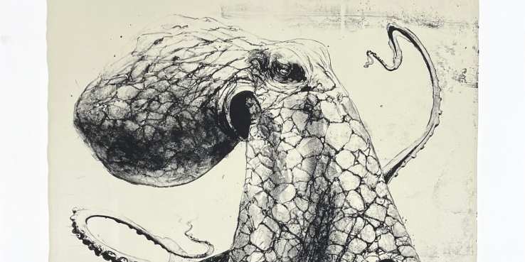 Dessin | Fondation Taylor, image size:738x369