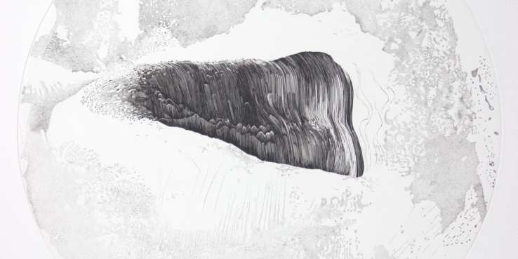 Catherine Gillet - La nature des choses II - Burin