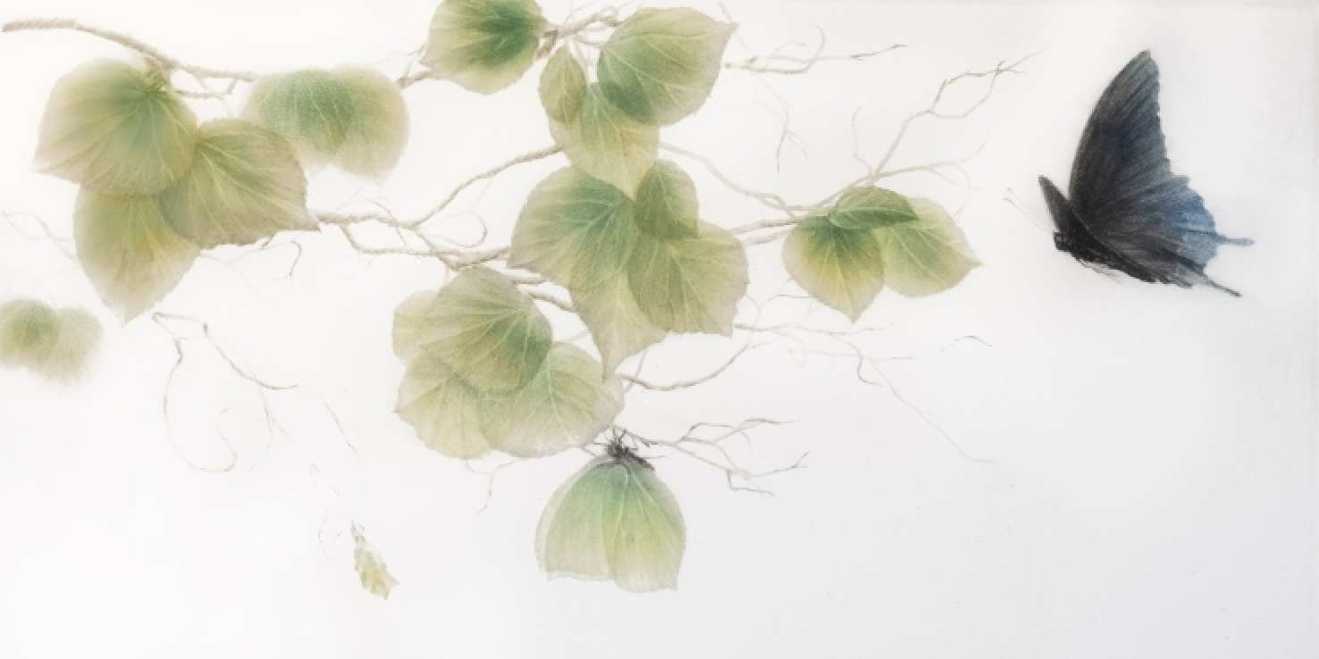 Mikio Watanabé - Entre brise et lumière, manière noire, 2026